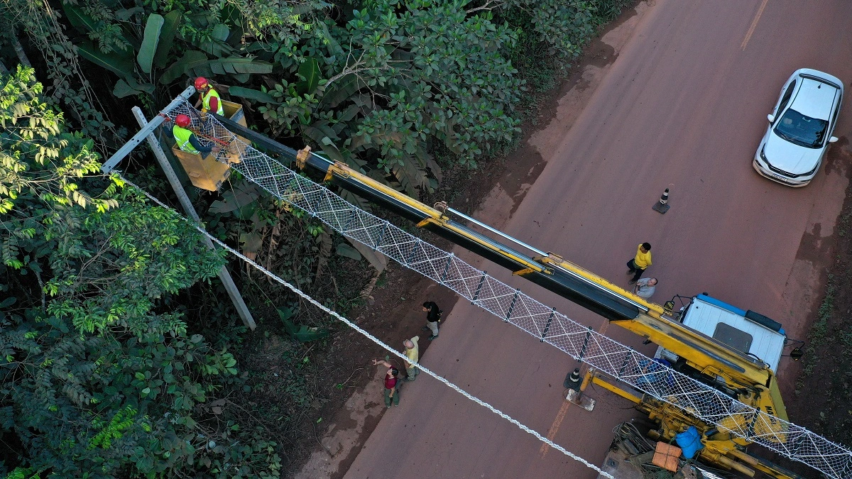 FAUNA NEWS Projeto com pontes sobre rodovias para espécies arborícolas está em expansão