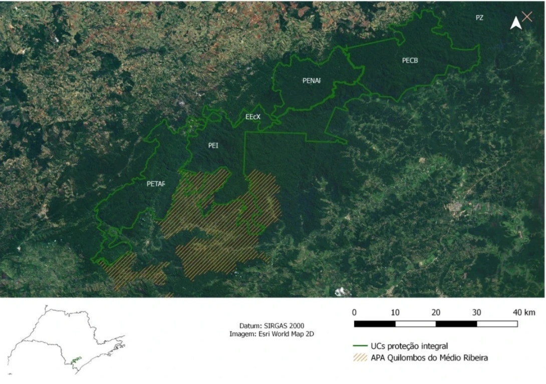 FAUNA NEWS População de onças-pintadas de floresta de SP cai 77% em uma década