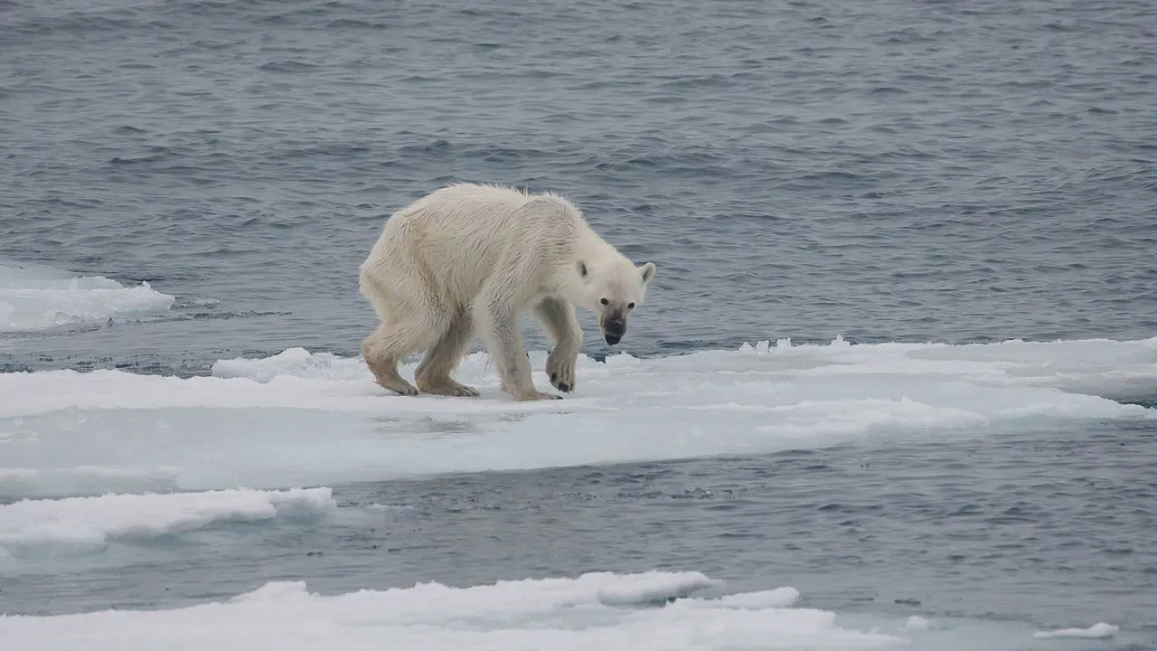 FAUNA NEWS A importância do Acordo de Paris para a vida selvagem