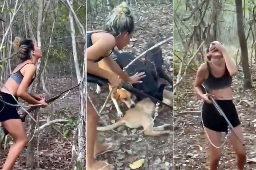 FAUNA NEWS Congresso tem ao menos 25 PLs sobre punições para crimes contra a fauna