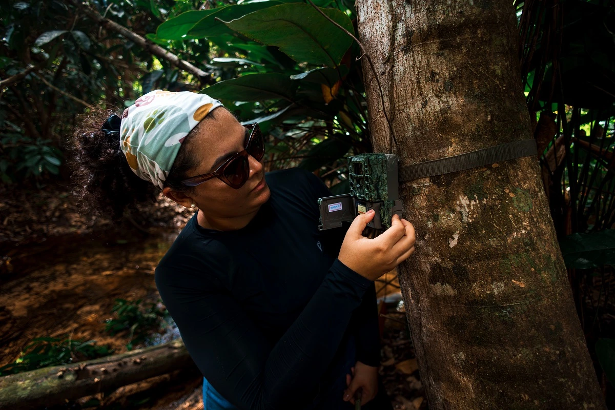 FAUNA NEWS Coexistência humano-fauna e caça na Amazônia