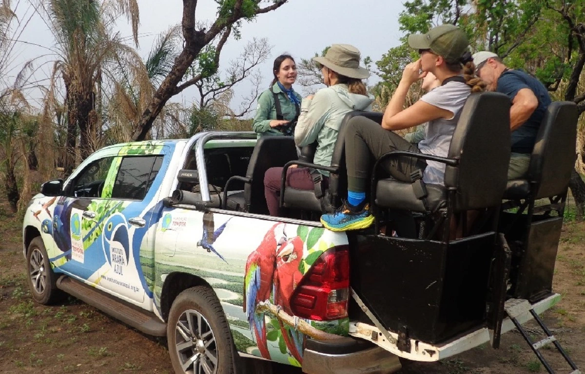 FAUNA NEWS Educação ambiental e turismo de observação de fauna