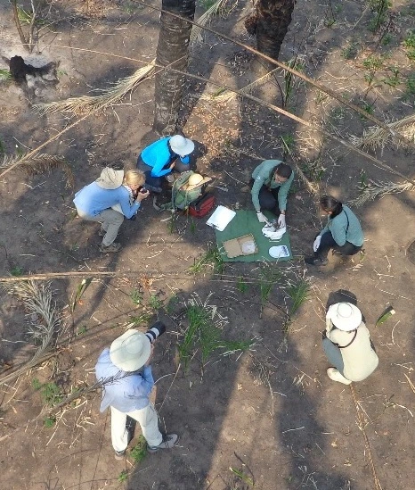 FAUNA NEWS Educação ambiental e turismo de observação de fauna