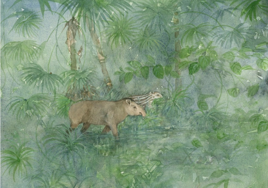 FAUNA NEWS Educação ambiental: e quando os velhos paradigmas precisam ser revisitados?