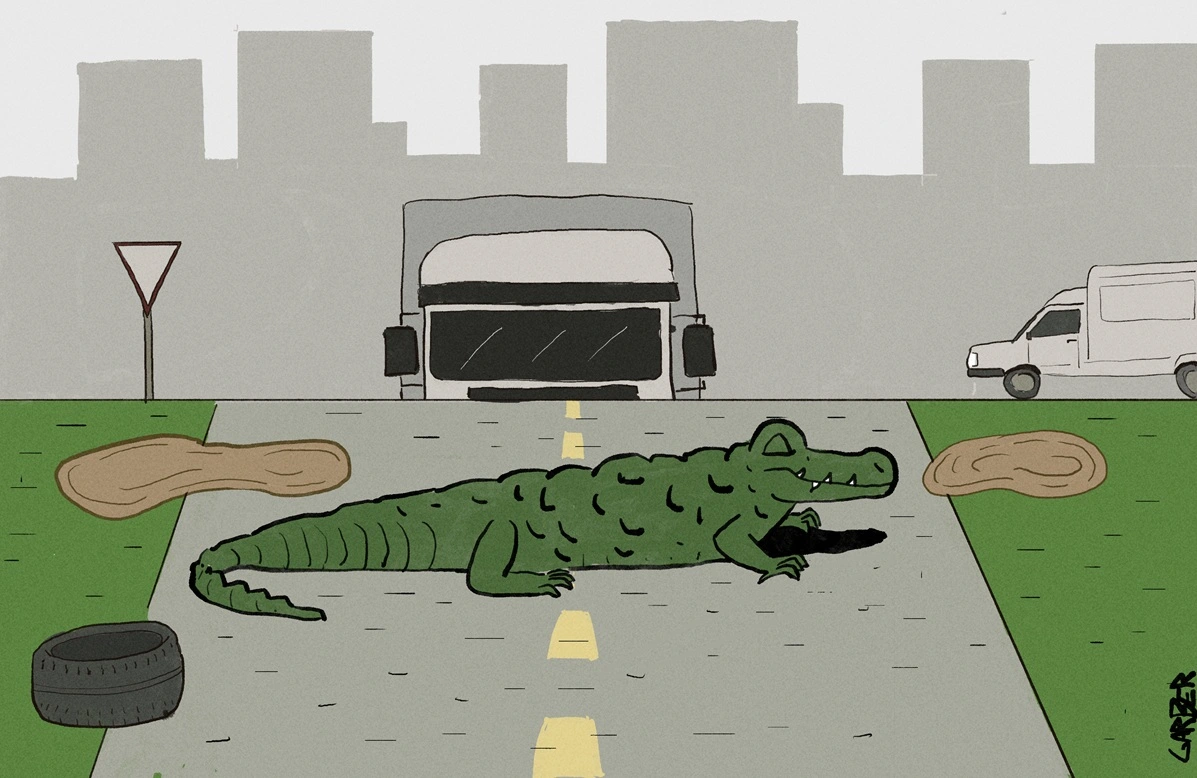 FAUNA NEWS Mudanças climáticas e os efeitos nas estradas