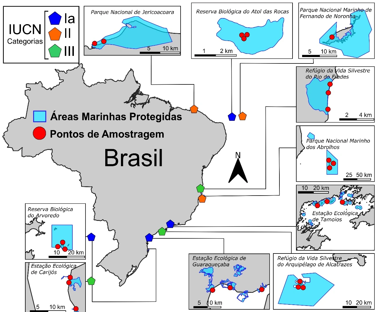 FAUNA NEWS Microplásticos: áreas marinhas protegidas do Brasil estão contaminadas