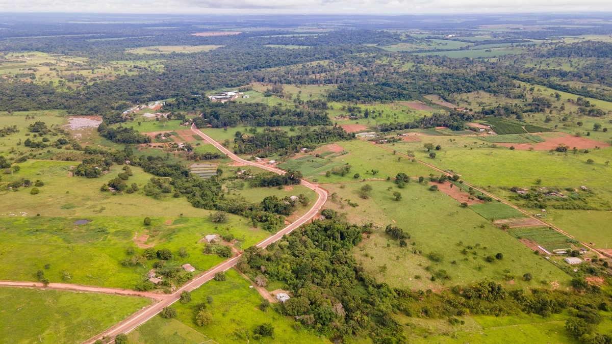 FAUNA NEWS Construção de passagem de fauna em Mato Grosso vai além da conservação