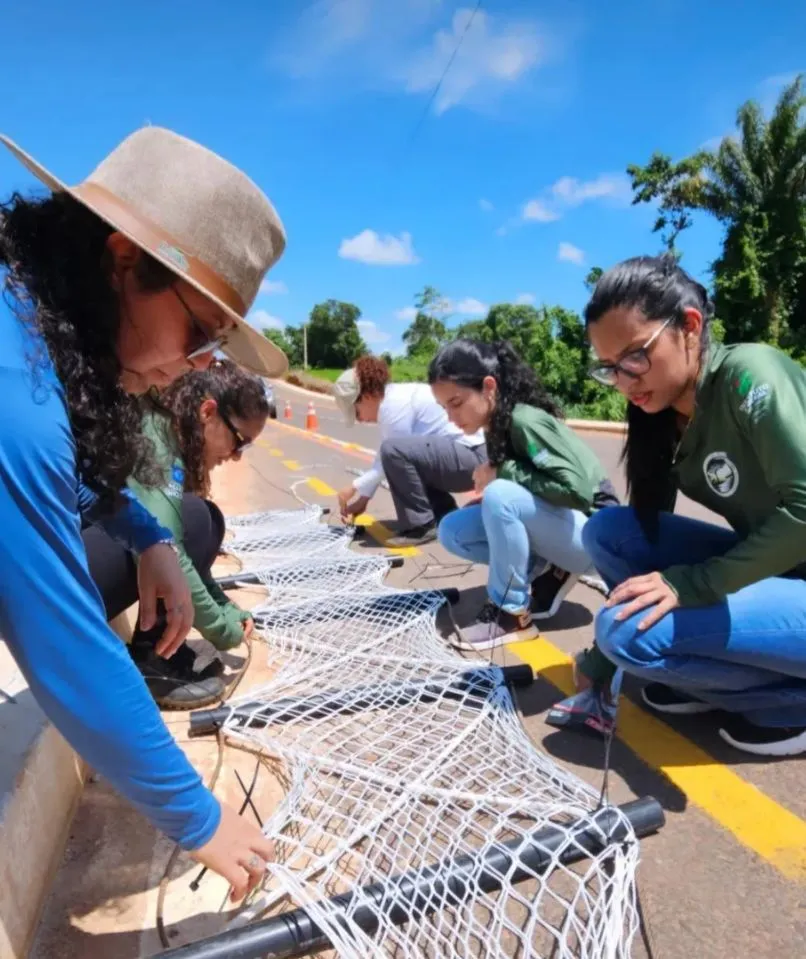 FAUNA NEWS Construção de passagem de fauna em Mato Grosso vai além da conservação