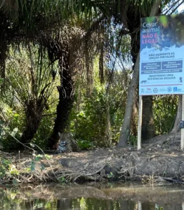 FAUNA NEWS Caseiro é morto por onça-pintada no Pantanal