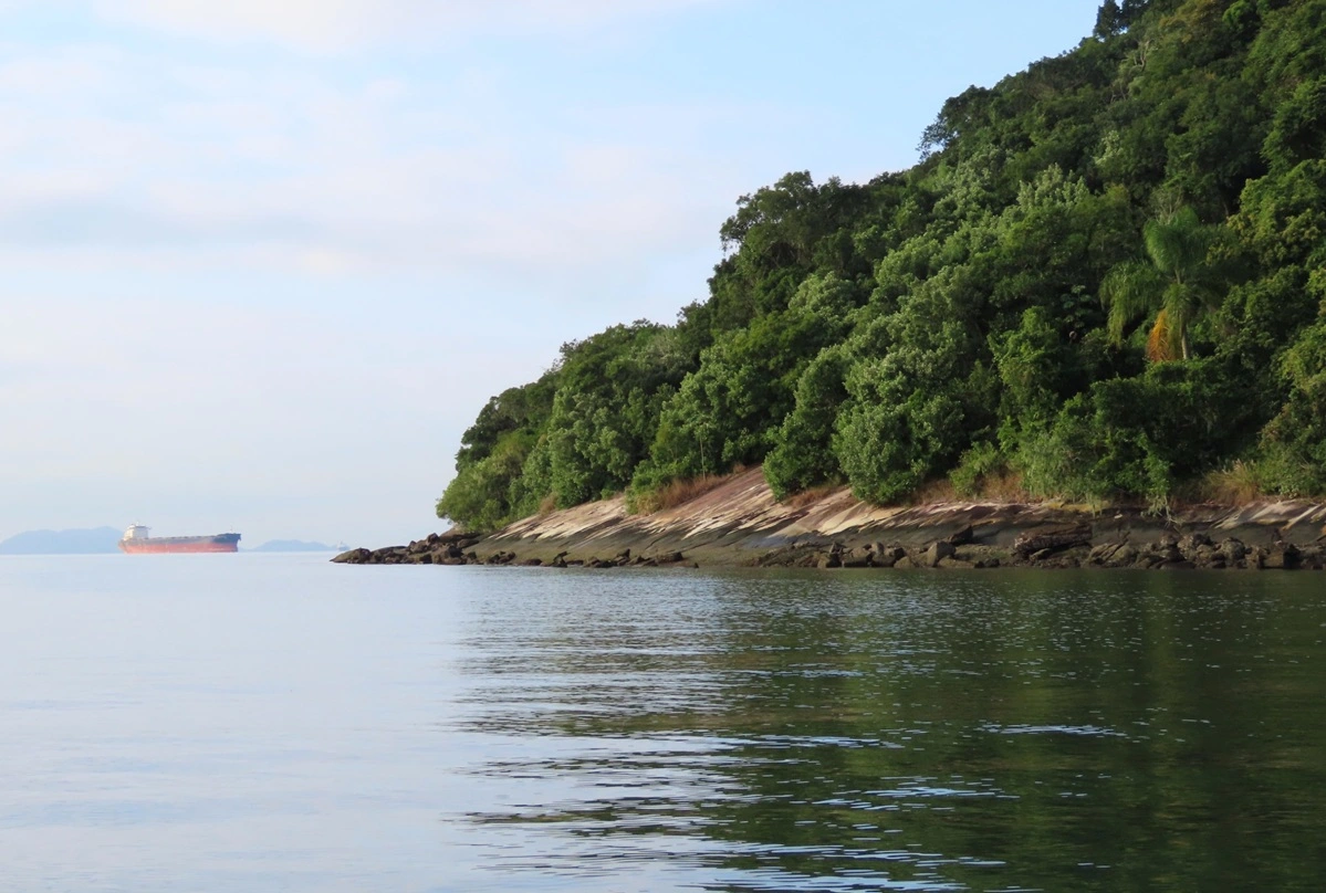 FAUNA NEWS Transporte aquaviário: desafio em áreas protegidas