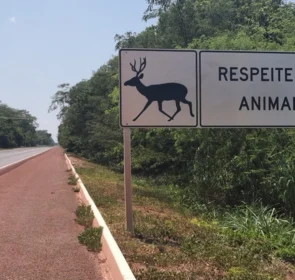 FAUNA NEWS O Fauna News foi e é demais!