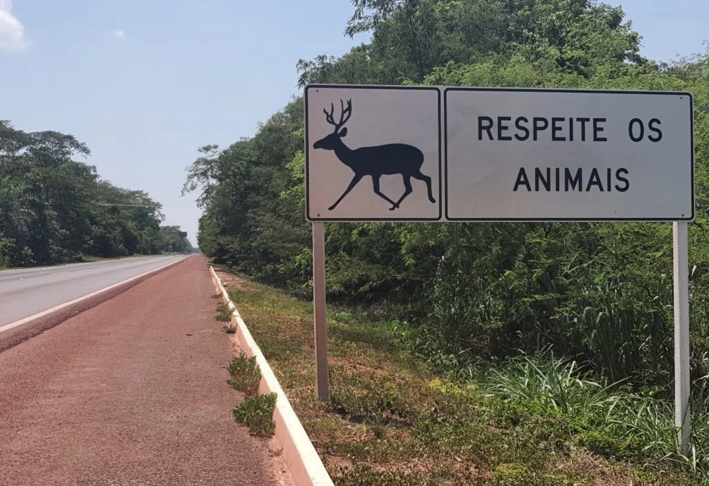 FAUNA NEWS O Fauna News foi e é demais!