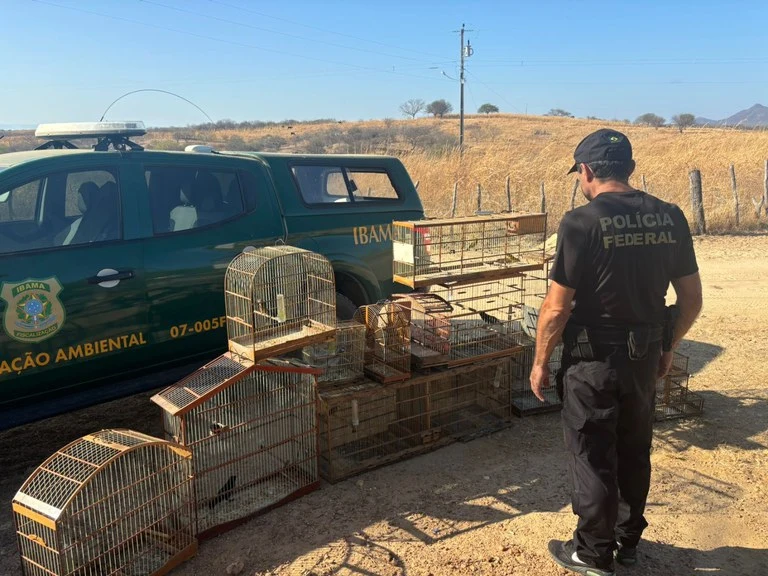 FAIUNA NEWS O concurso material nos crimes contra a fauna