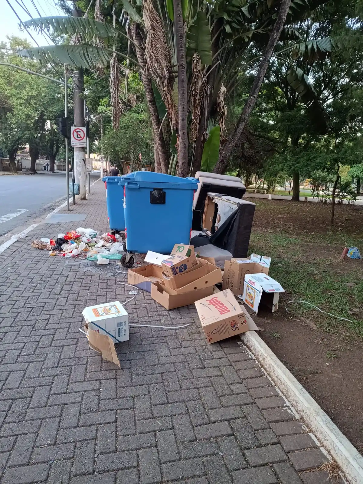 FAUNA NEWS Lixo e veneno: animais silvestres de praça de Taubaté (SP) correm risco de vida