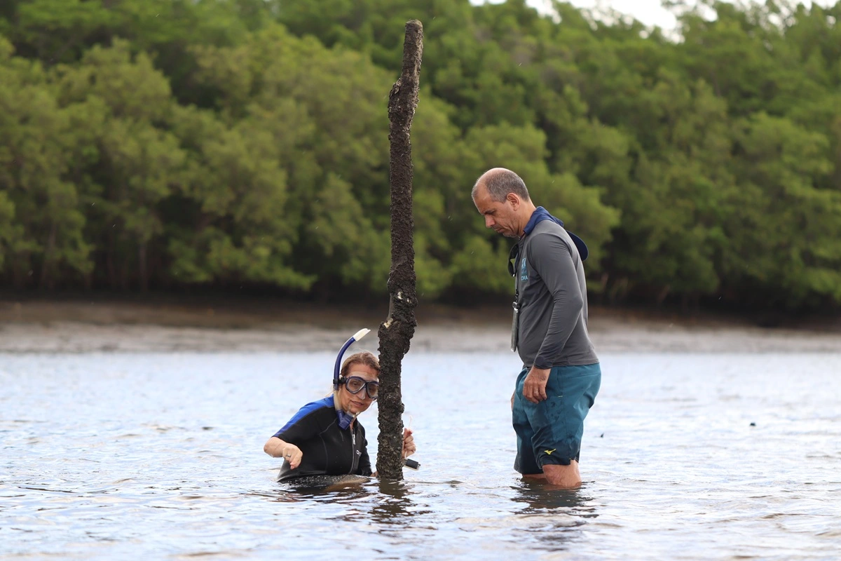 FAUNA NEWS Expedição estuda peixes-boi-marinhos nas águas turvas da APA Delta do Parnaíba