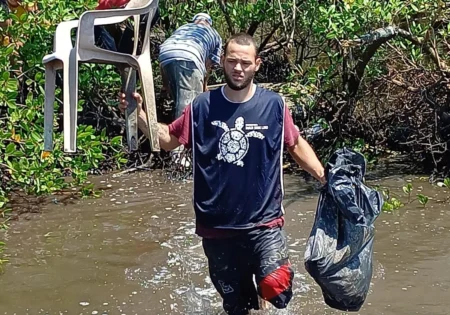 FAUNA NEWS Pescadores retiram 29 toneladas de resíduos de ecossistemas costeiros paulistas